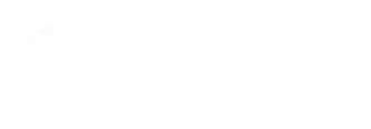Kellogg's Logo