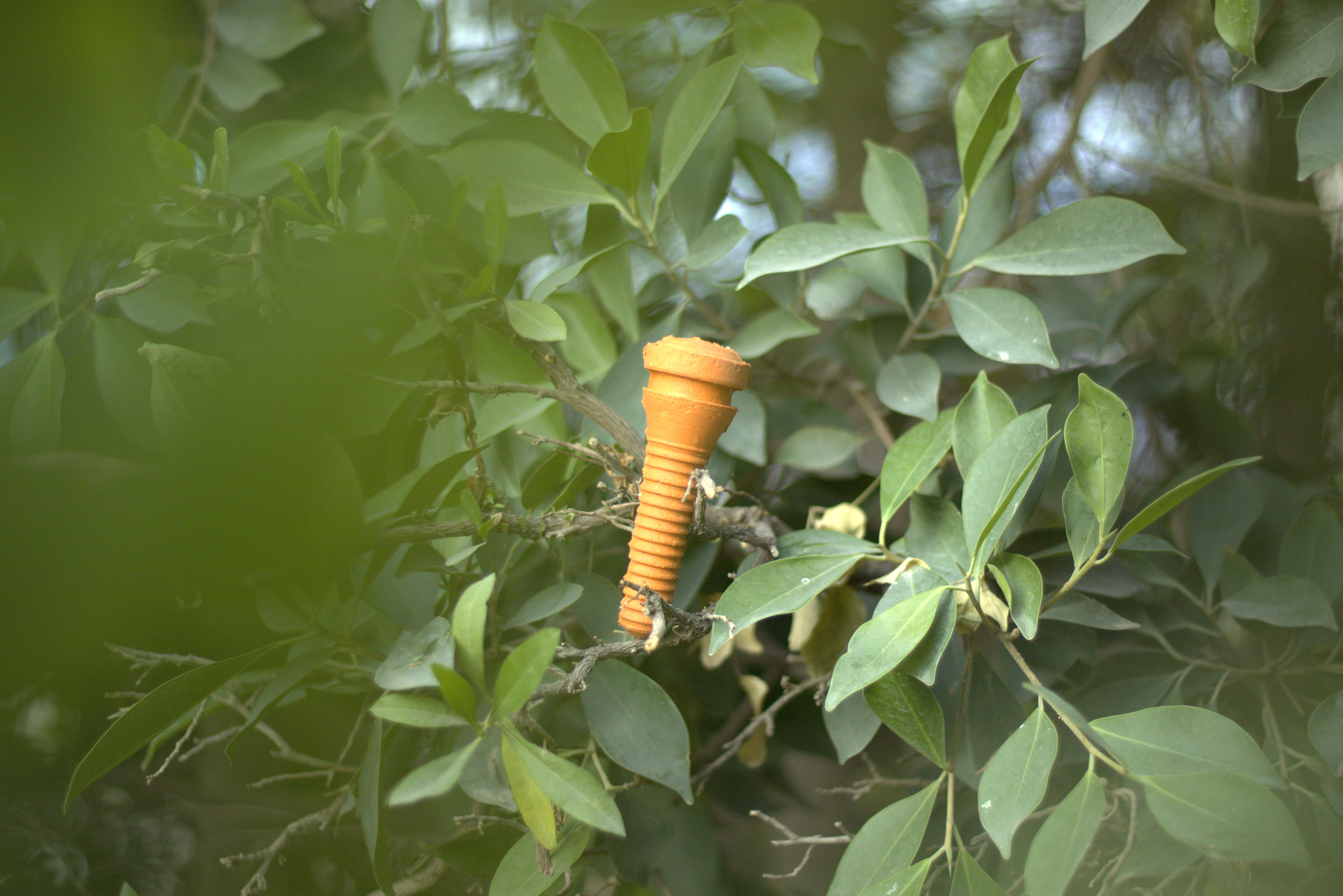 Eco-friendly project component in nature